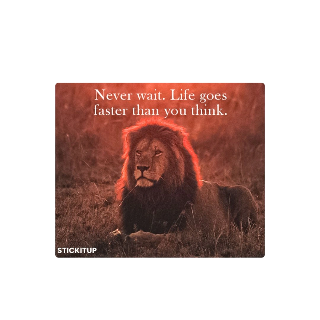 Never wait Sticker